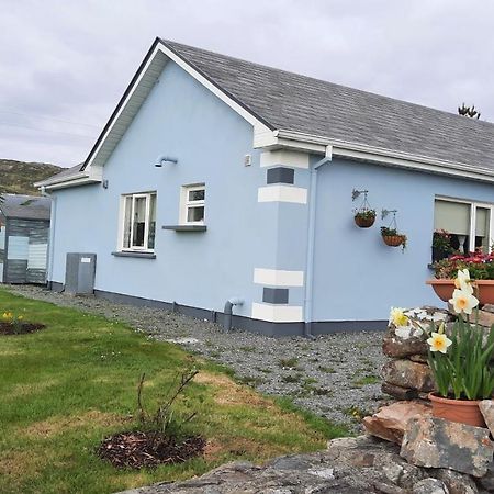 Clifden Wildflower Cottage - Clifden Countryside Lettings Dış mekan fotoğraf