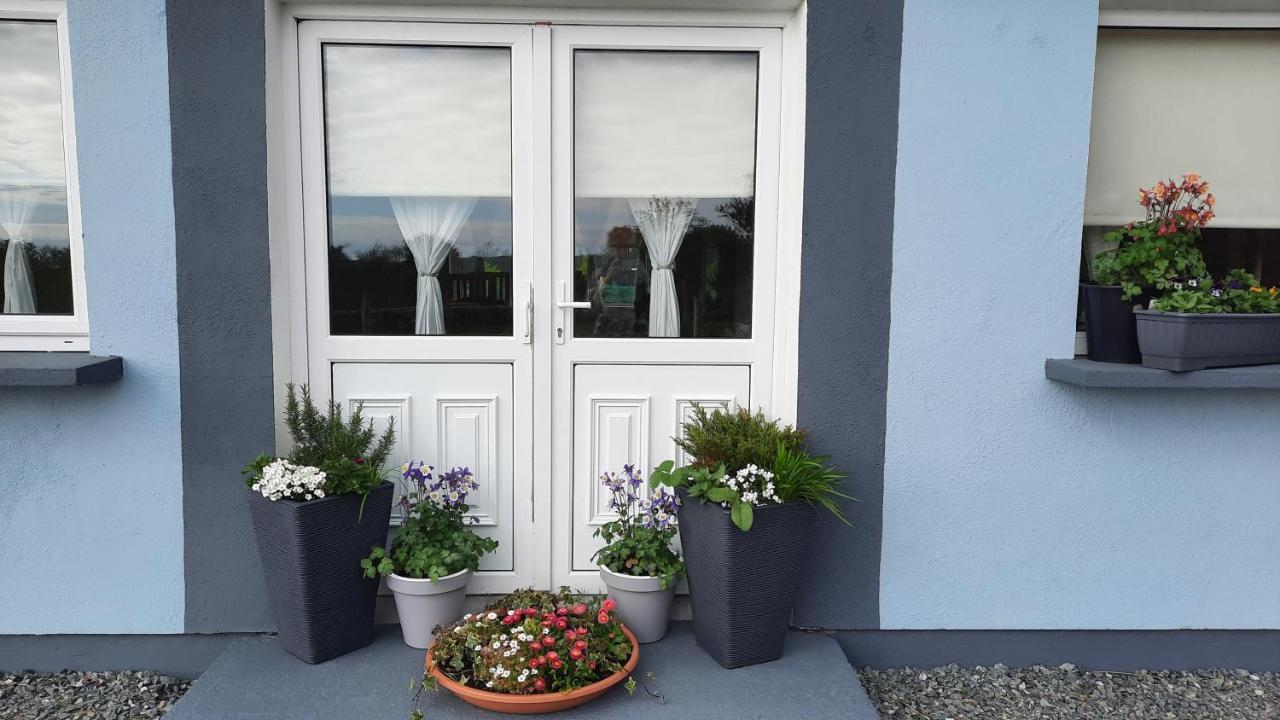 Clifden Wildflower Cottage - Clifden Countryside Lettings Dış mekan fotoğraf