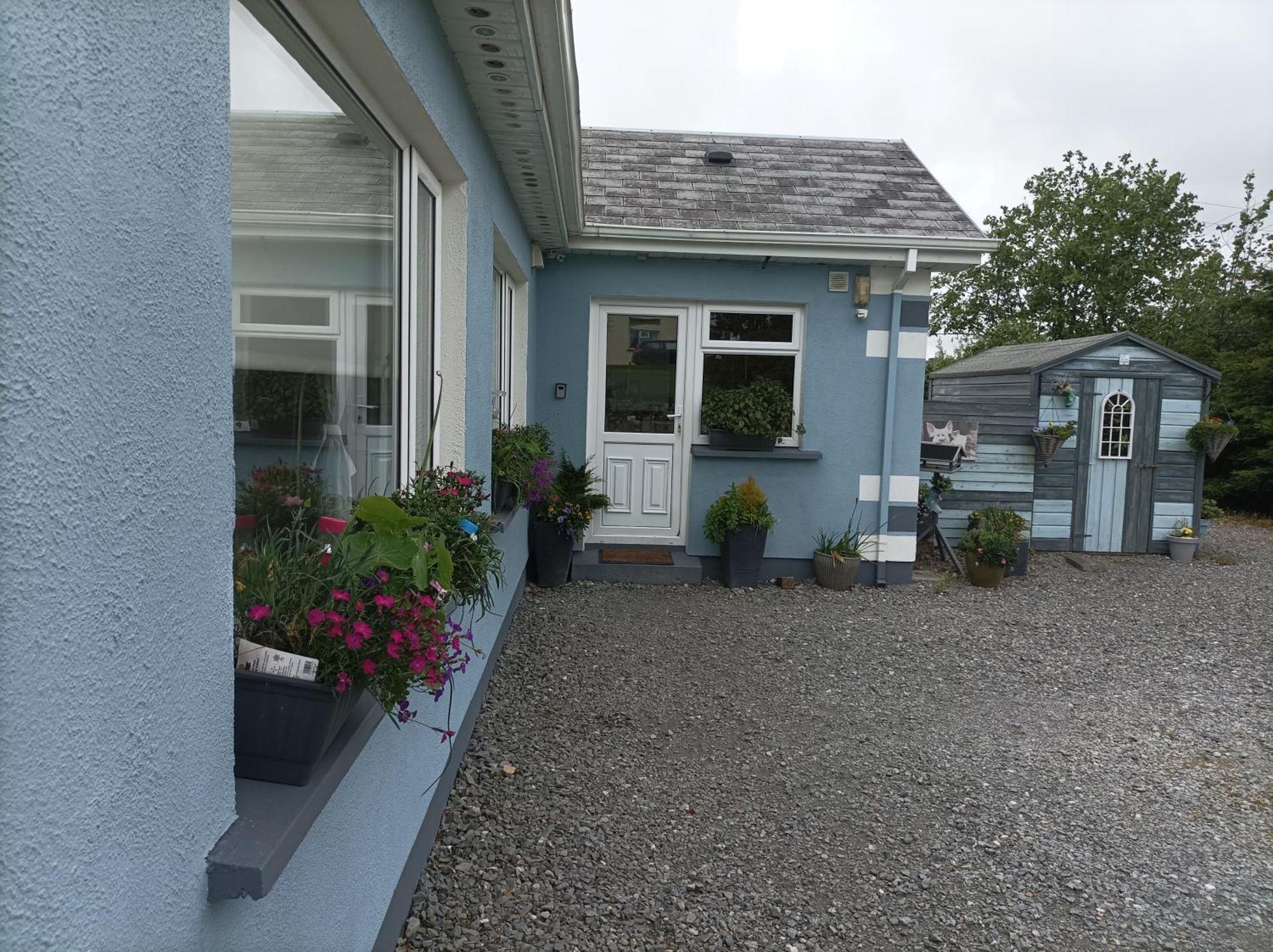 Clifden Wildflower Cottage - Clifden Countryside Lettings Dış mekan fotoğraf
