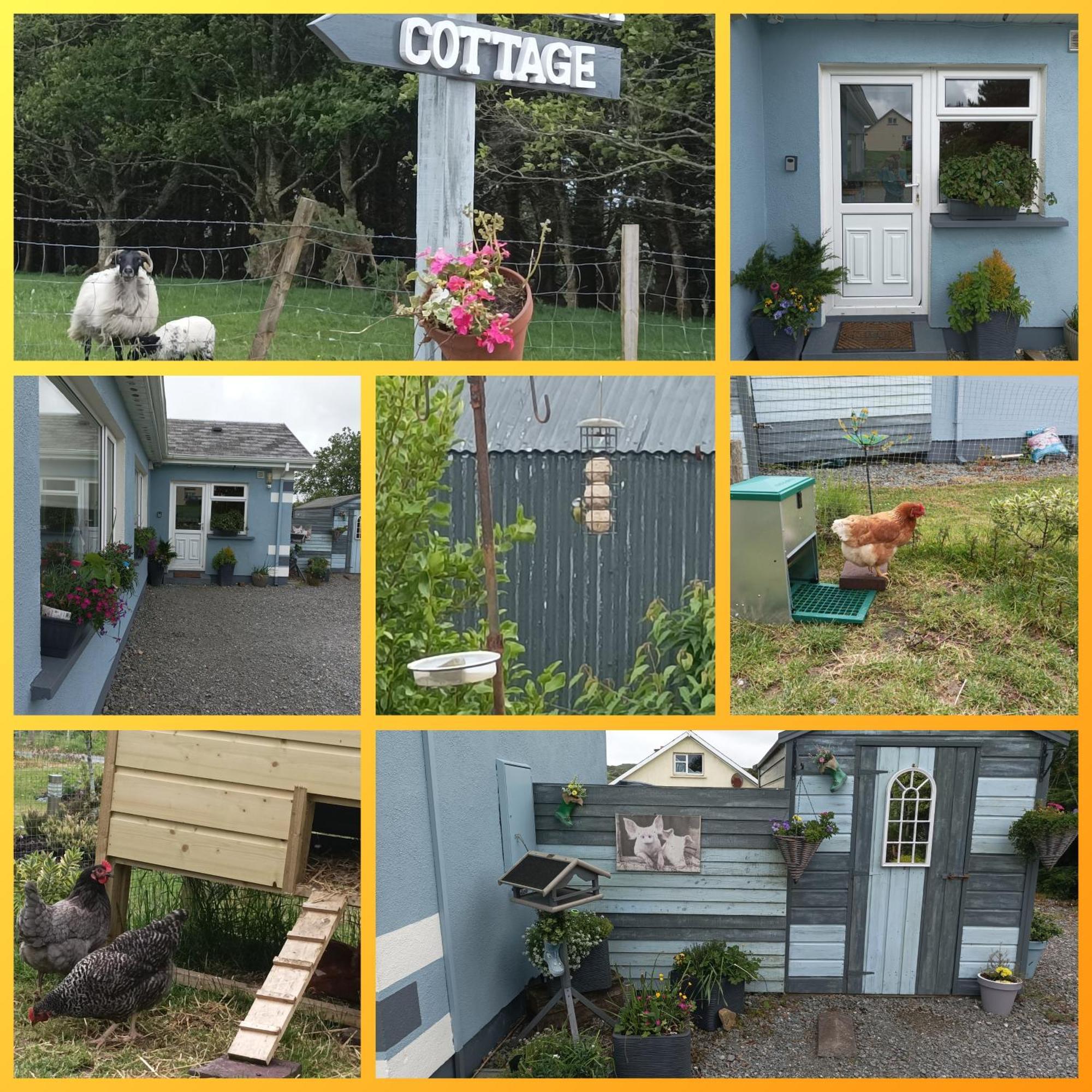 Clifden Wildflower Cottage - Clifden Countryside Lettings Dış mekan fotoğraf