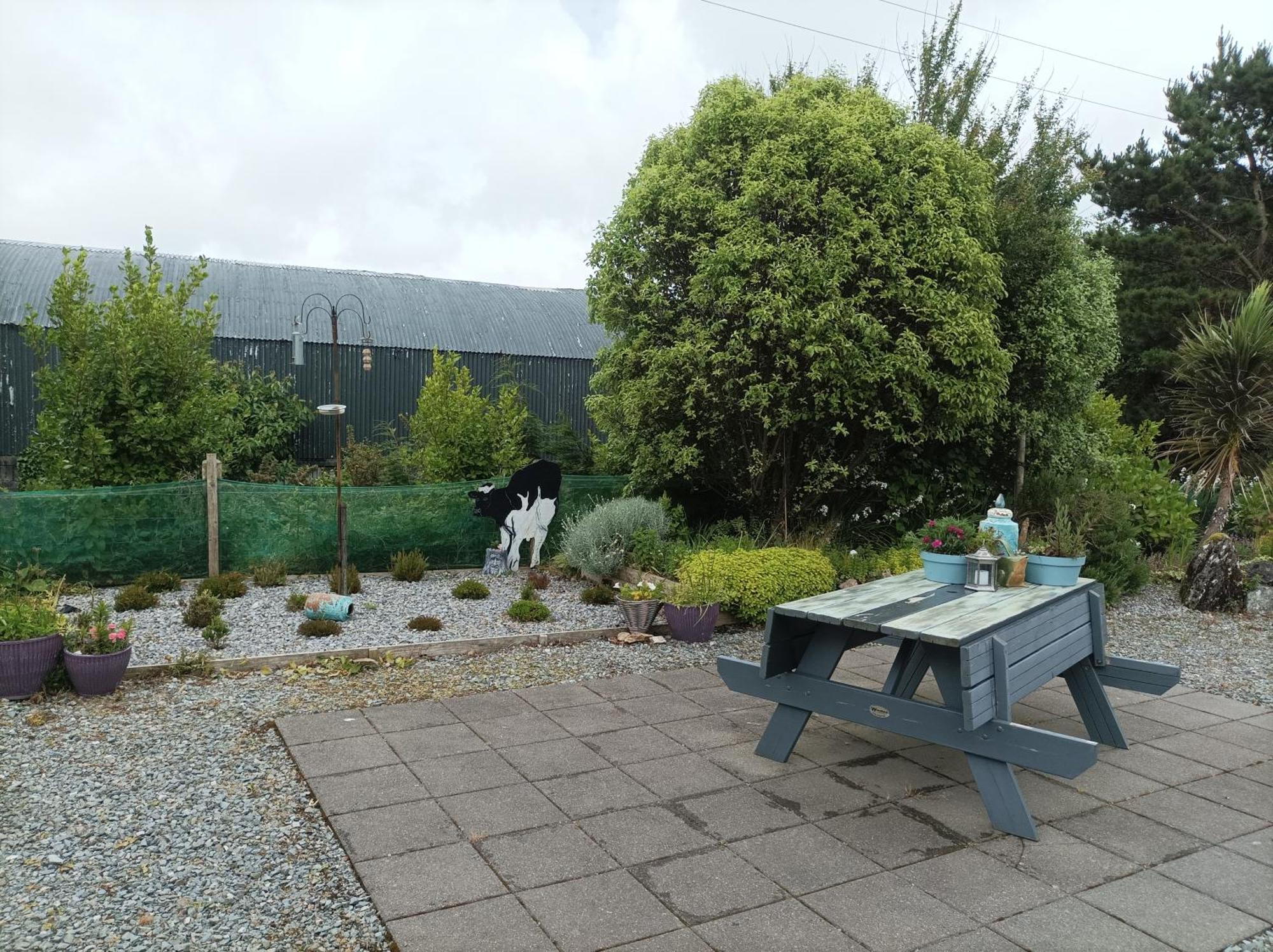 Clifden Wildflower Cottage - Clifden Countryside Lettings Dış mekan fotoğraf